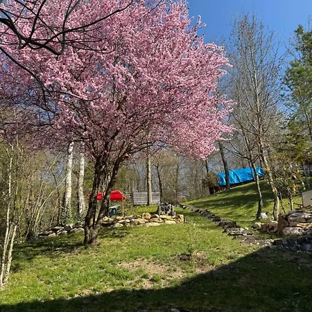 Апартаменты Kaiserblick